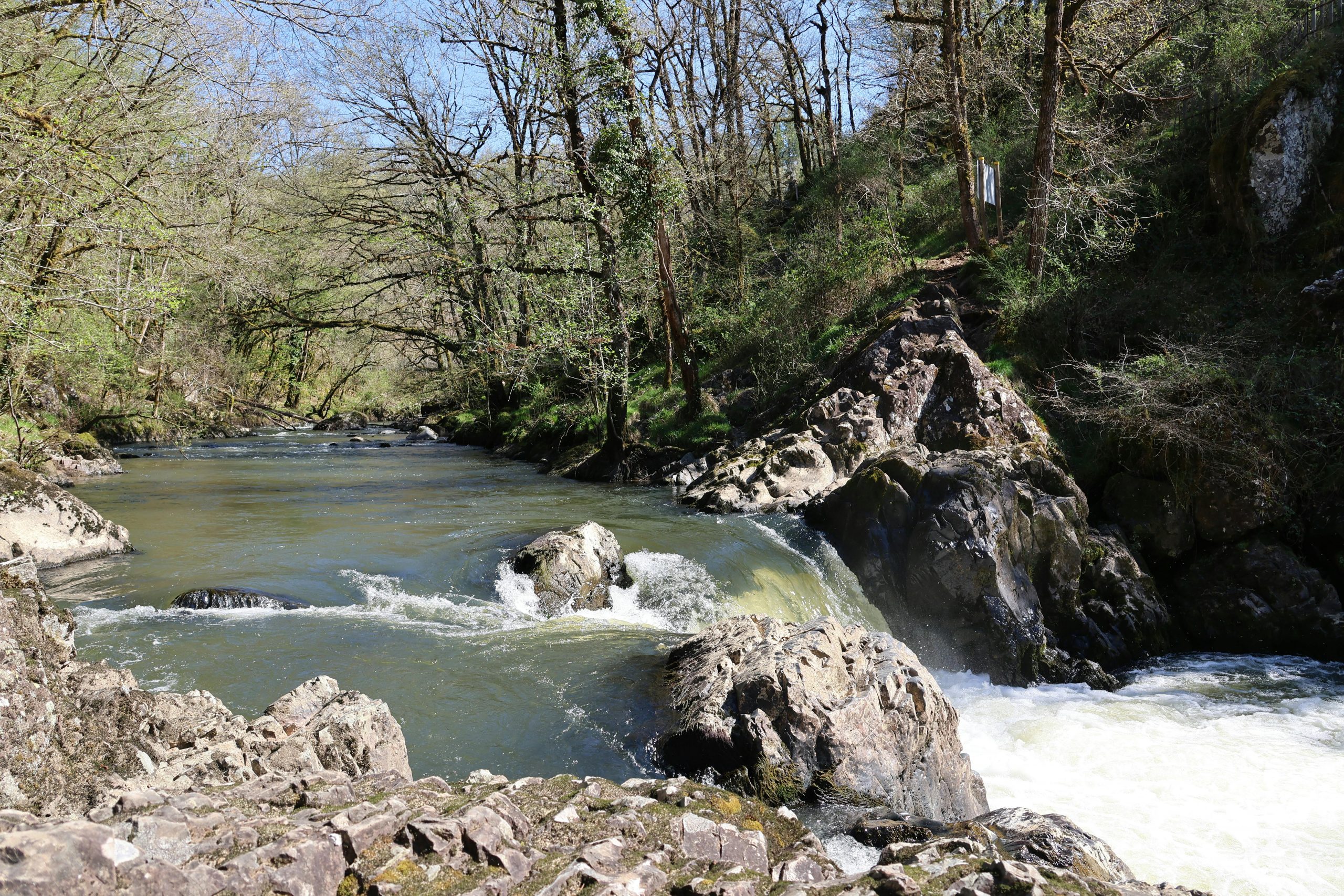 Ten Great Sites to See Spring Migrants in the Yorkshire Dales and Beyond